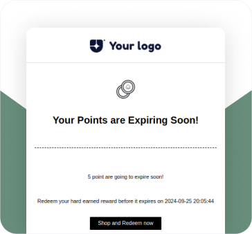 Point Expiry Notification
