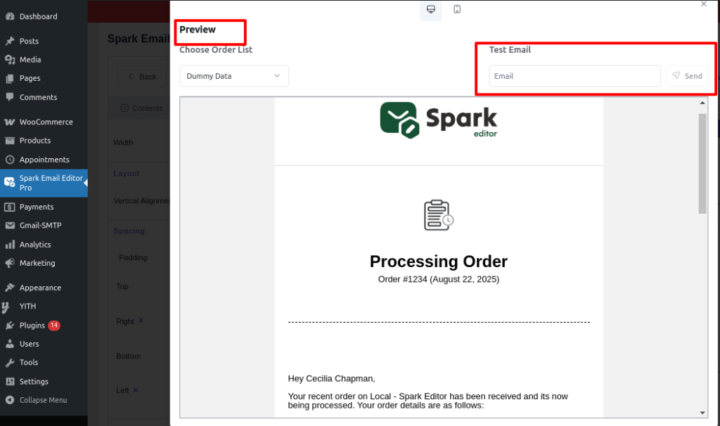 Preview and test mail option