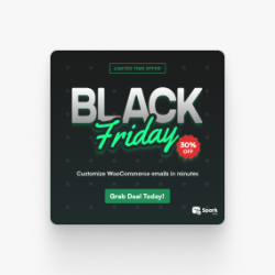 250 X 250 Black Friday